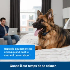 PetSafe ANTI ABOIEMENT SONORE RECHARGEABLE -Magasin D'Équipement De Chasse anti aboiement sonore rechargeable 2