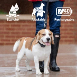 PetSafe ANTI ABOIEMENT SONORE RECHARGEABLE -Magasin D'Équipement De Chasse anti aboiement sonore rechargeable 3