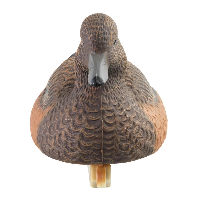 APPELANT SIFFLEUR FEMELLE HD 6 APPELANT SIFFLEUR FEMELLE HD – Image 4