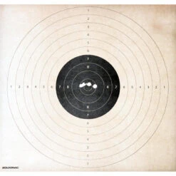 BALLE SANS PLOMB SPEED CALIBRE 12 X 5 -Magasin D'Équipement De Chasse balle sans plomb speed calibre 12 x 5 6