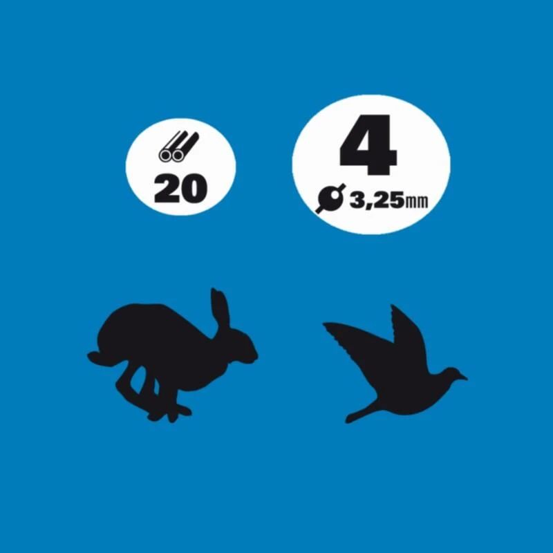 Cartouche Magnum Chambrée 76 5 Cartouche Magnum Chambrée 76 – Image 3