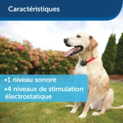 Clôture Anti-fugue Invisible Pour Chien Petsafe -Magasin D'Équipement De Chasse cloture anti fugue invisible pour chien petsafe 8