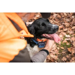 Collier Anti-aboiement Pour Chien Num'axes Canicalm Premium 7 Collier Anti-aboiement Pour Chien Num'axes Canicalm Premium -Magasin D'Équipement De Chasse collier anti aboiement pour chien numaxes canicalm premium 2