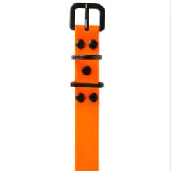 Collier Chien Orange Fluo 500 17 Collier Chien Orange Fluo 500 -Magasin D'Équipement De Chasse collier chien orange fluo 500 7