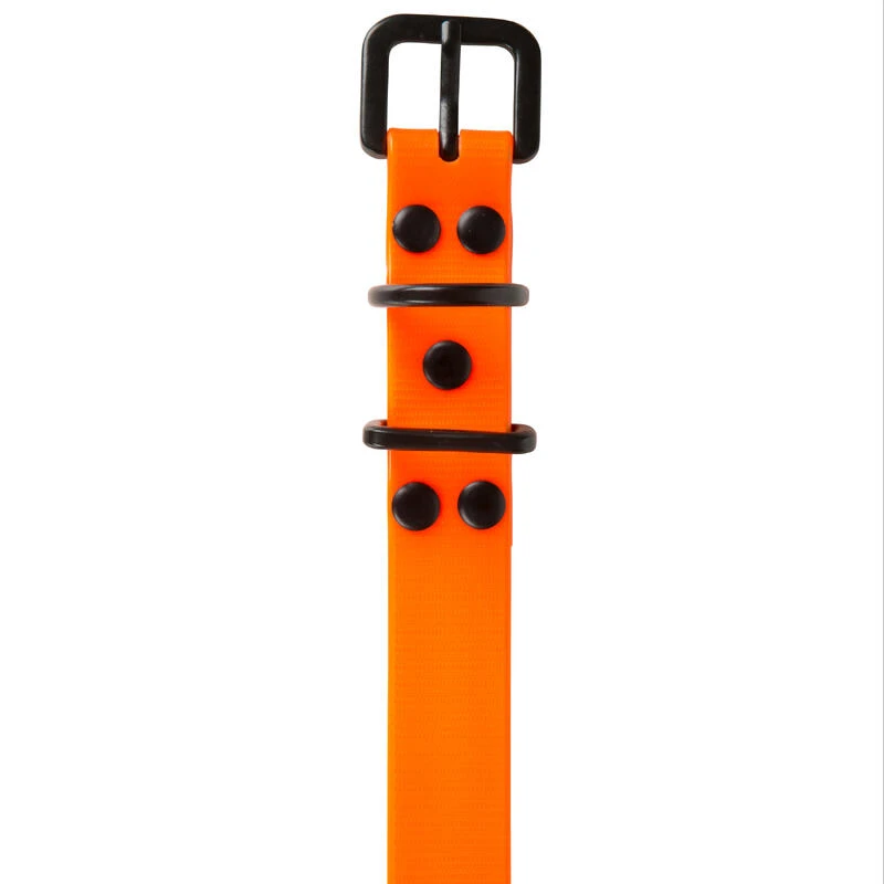 Collier Chien Orange Fluo 500 10 Collier Chien Orange Fluo 500 – Image 8