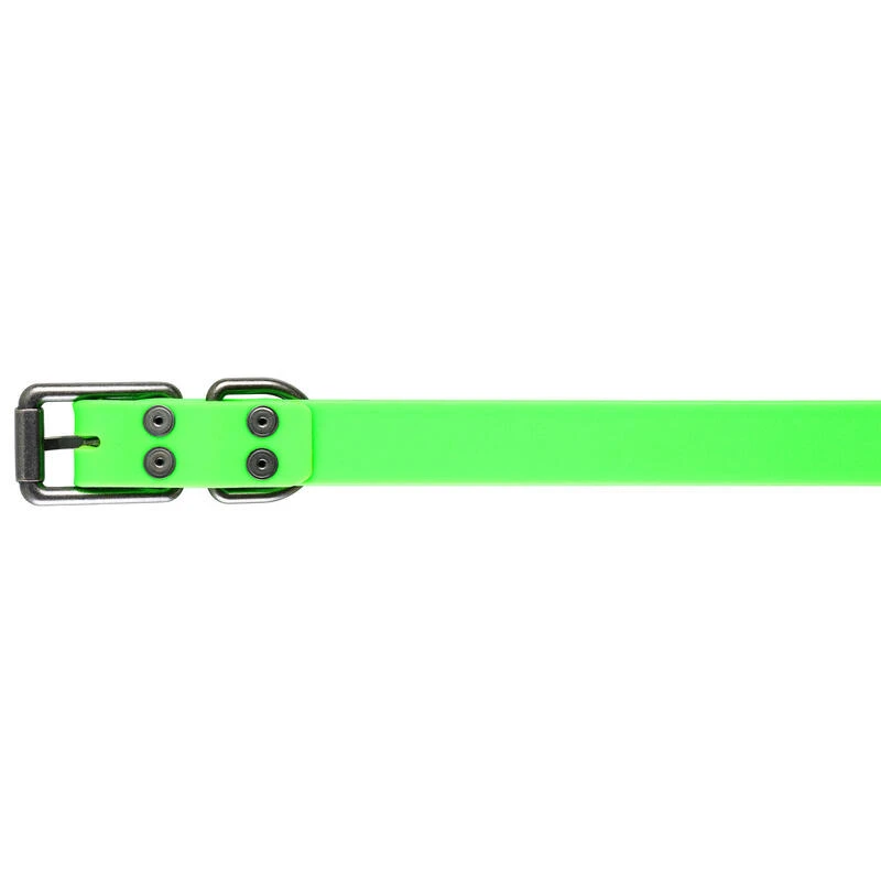 Collier Chien Vert 900 9 Collier Chien Vert 900 – Image 7
