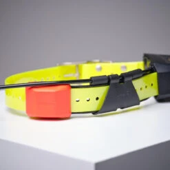 Collier Supplémentaire De Repérage Pour Chien Garmin T5X -Magasin D'Équipement De Chasse collier supplementaire de reperage pour chien garmin t5x 6