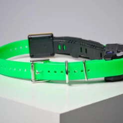 COLLIER SUPPLEMENTAIRE REPERAGE & DRESSAGE DOGTRA PATHFINDER V2. -Magasin D'Équipement De Chasse collier supplementaire reperage and dressage dogtra pathfinder v2 3