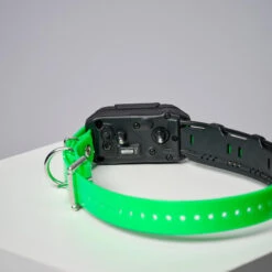 COLLIER SUPPLEMENTAIRE REPERAGE & DRESSAGE DOGTRA PATHFINDER V2. -Magasin D'Équipement De Chasse collier supplementaire reperage and dressage dogtra pathfinder v2 5