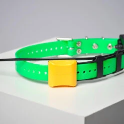 COLLIER SUPPLEMENTAIRE REPERAGE & DRESSAGE DOGTRA PATHFINDER V2. -Magasin D'Équipement De Chasse collier supplementaire reperage and dressage dogtra pathfinder v2 6