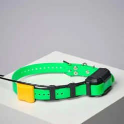 COLLIER SUPPLEMENTAIRE REPERAGE & DRESSAGE DOGTRA PATHFINDER V2. -Magasin D'Équipement De Chasse collier supplementaire reperage and dressage dogtra pathfinder v2 7