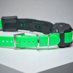 Collier Supplémentaire Repérage Et Dressage Pour Chien Dogtra Pathfinder 11 Collier Supplémentaire Repérage Et Dressage Pour Chien Dogtra Pathfinder -Magasin D'Équipement De Chasse collier supplementaire reperage et dressage pour chien dogtra pathfinder 2