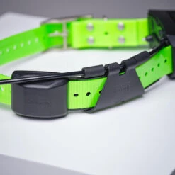 Collier Supplémentaire Repérage Et Dressage Pour Chien Garmin TT15X -Magasin D'Équipement De Chasse collier supplementaire reperage et dressage pour chien garmin tt15x 5