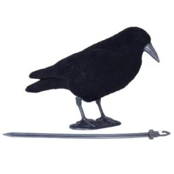 FORME CORBEAU FLOQUE -Magasin D'Équipement De Chasse forme corbeau floque 1