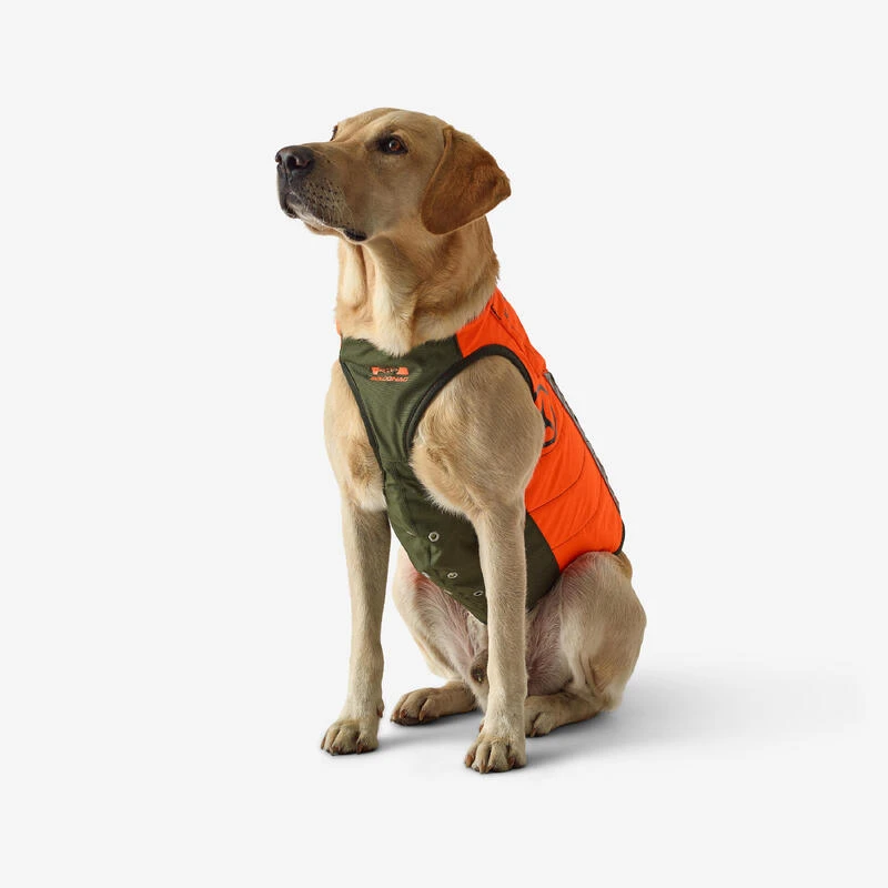 Gilet De Protection Pour Chien Supertrack 6 Gilet De Protection Pour Chien Supertrack – Image 4