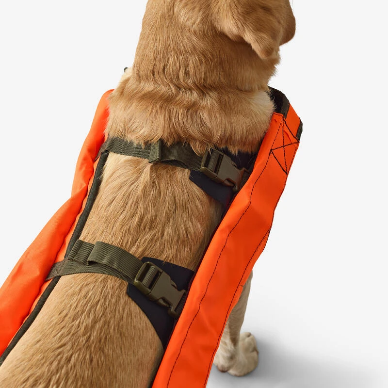 Gilet De Protection Pour Chien Supertrack 7 Gilet De Protection Pour Chien Supertrack – Image 5