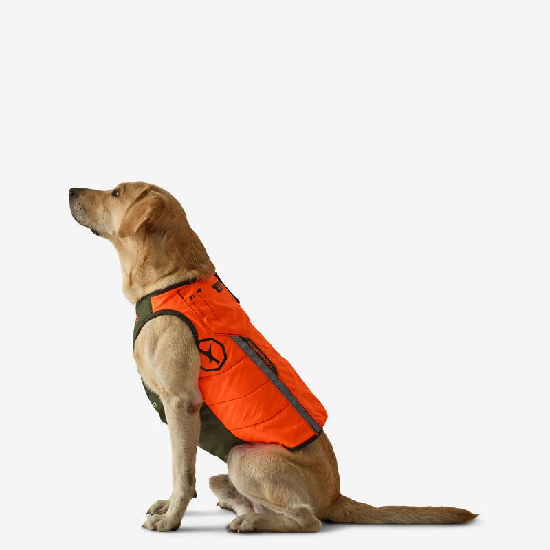 Gilet De Protection Pour Chien Supertrack 3 Gilet De Protection Pour Chien Supertrack