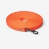 Longe Plate Pour Chien 15m Fluo Orange -Magasin D'Équipement De Chasse longe plate pour chien 15m fluo orange