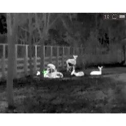 HikMicro Monoculaire De Vision Thermique Hik Micro Lynx Pro LE10 19 HikMicro Monoculaire De Vision Thermique Hik Micro Lynx Pro LE10 -Magasin D'Équipement De Chasse monoculaire de vision thermique hik micro lynx pro le10 7