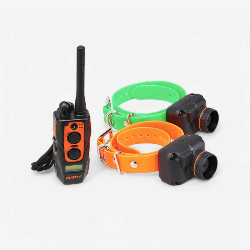 PACK 2 COLLIERS + TÉLÉCOMMANDE DE DRESSAGE ET REPÉRAGE POUR CHIEN DOGTRA 2600T&B 3 PACK 2 COLLIERS + TÉLÉCOMMANDE DE DRESSAGE ET REPÉRAGE POUR CHIEN DOGTRA 2600T&B