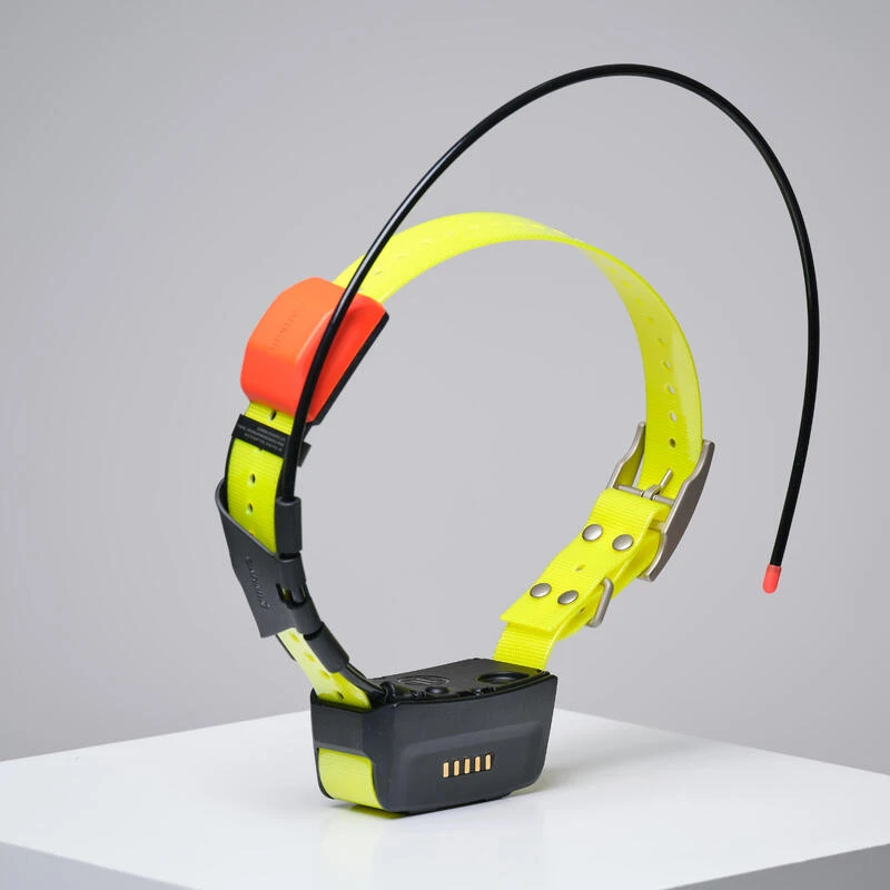 PACK COLLIER + TÉLÉCOMMANDE DE REPÉRAGE/DRESSAGE CHIEN GARMIN ALPHA 200 T5X 4 PACK COLLIER + TÉLÉCOMMANDE DE REPÉRAGE/DRESSAGE CHIEN GARMIN ALPHA 200 T5X – Image 2