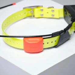 PACK COLLIER + TÉLÉCOMMANDE DE REPÉRAGE/DRESSAGE CHIEN GARMIN ALPHA 200 T5X 19 PACK COLLIER + TÉLÉCOMMANDE DE REPÉRAGE/DRESSAGE CHIEN GARMIN ALPHA 200 T5X -Magasin D'Équipement De Chasse pack collier telecommande de reperagedressage chien garmin alpha 200 t5x 7