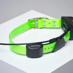 PACK COLLIER + TÉLÉCOMMANDE DE REPÉRAGE/DRESSAGE CHIEN GARMIN ALPHA 200 TT15X -Magasin D'Équipement De Chasse pack collier telecommande de reperagedressage chien garmin alpha 200 tt15x 7