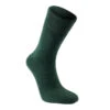 Woolpower Chaussettes Merino Liner Classique LITE - Vert Forêt -Magasin D'Équipement De Chasse woolpower chaussettes merino liner classique lite vert foret
